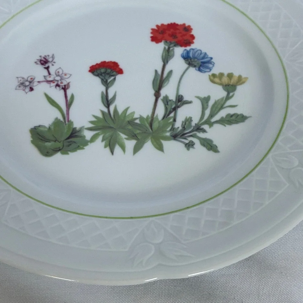2 Louis Lourioux Plates France French Country Wildflower Cottage Shabby Chic